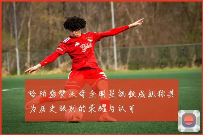 哈珀盛赞米奇全明星执教成就称其为历史级别的荣耀与认可