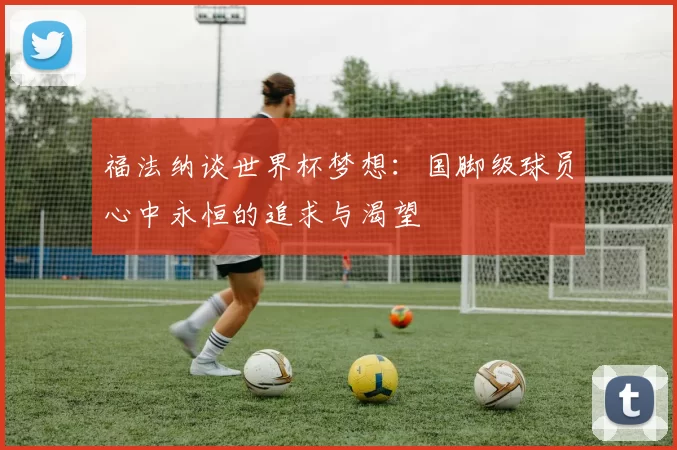 福法纳谈世界杯梦想：国脚级球员心中永恒的追求与渴望