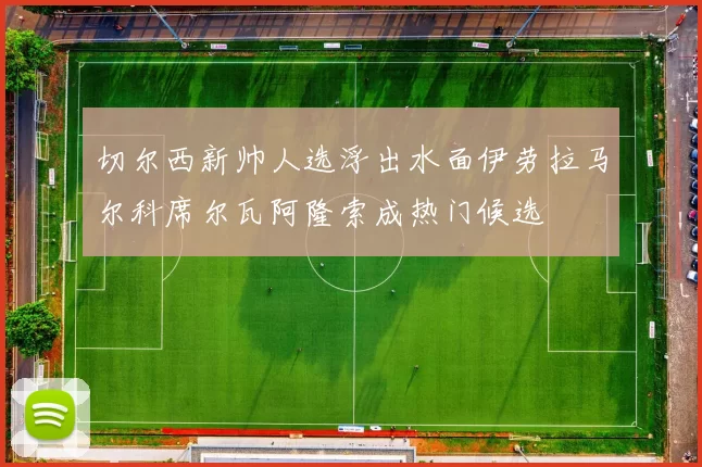 切尔西新帅人选浮出水面伊劳拉马尔科席尔瓦阿隆索成热门候选