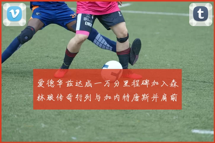 爱德华兹达成一万分里程碑加入森林狼传奇行列与加内特唐斯并肩前行