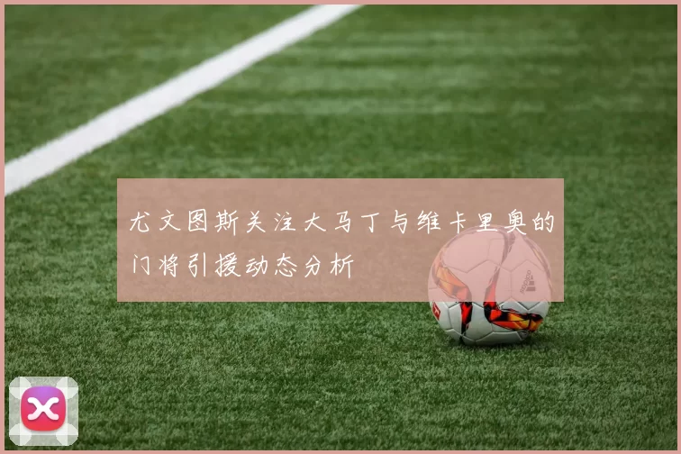 尤文图斯关注大马丁与维卡里奥的门将引援动态分析